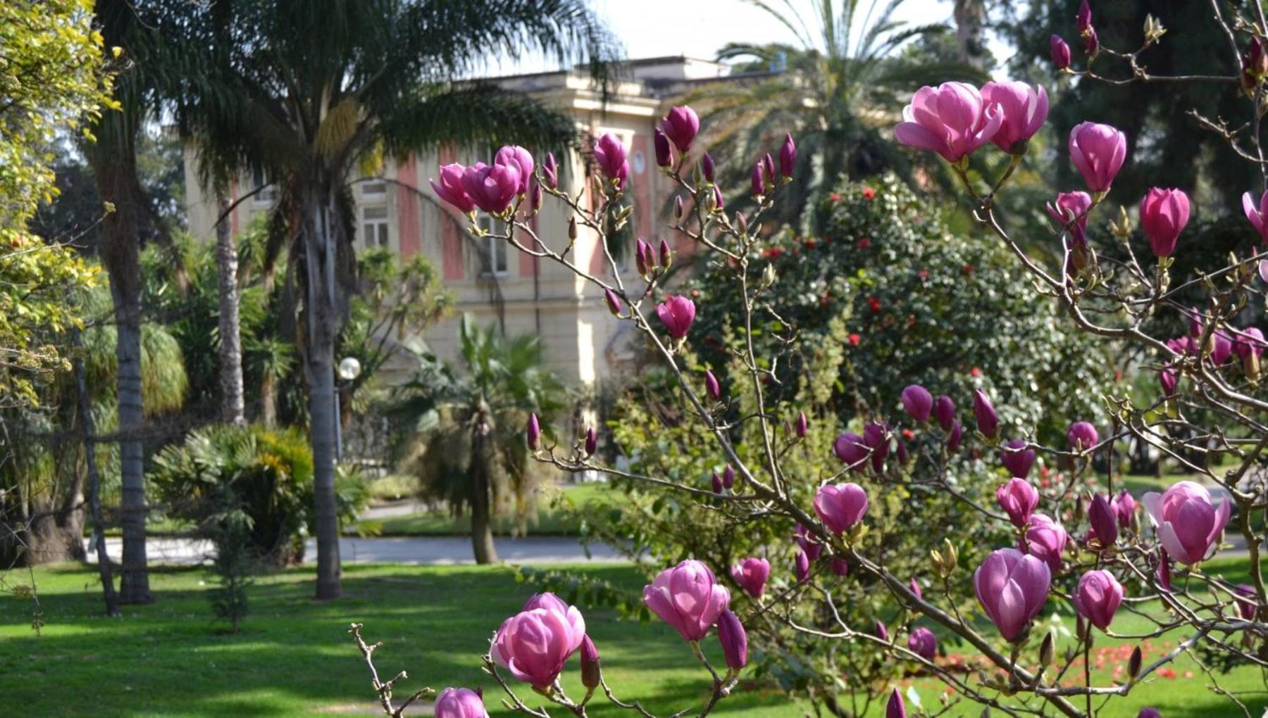 Casina Via Foria Bed & Breakfast Napoli Eksteriør bilde